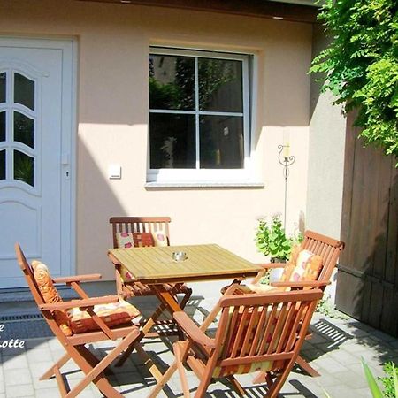 Ferienwohnungen _ Haus Lisa_ Senftenberg Bagian luar foto