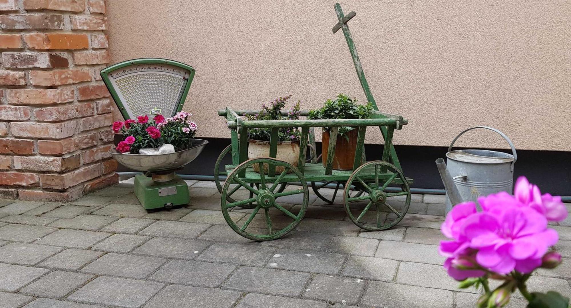 Ferienwohnungen _ Haus Lisa_ Senftenberg Bagian luar foto