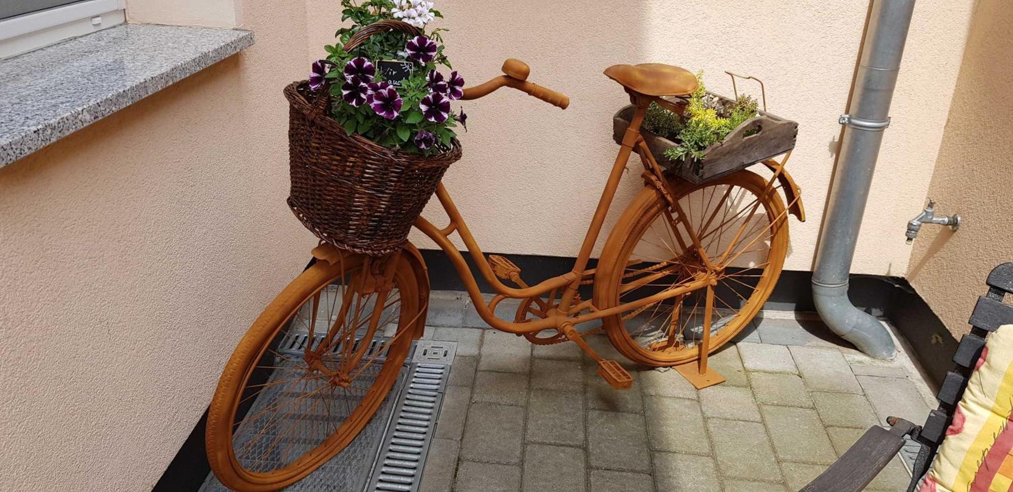 Ferienwohnungen _ Haus Lisa_ Senftenberg Bagian luar foto