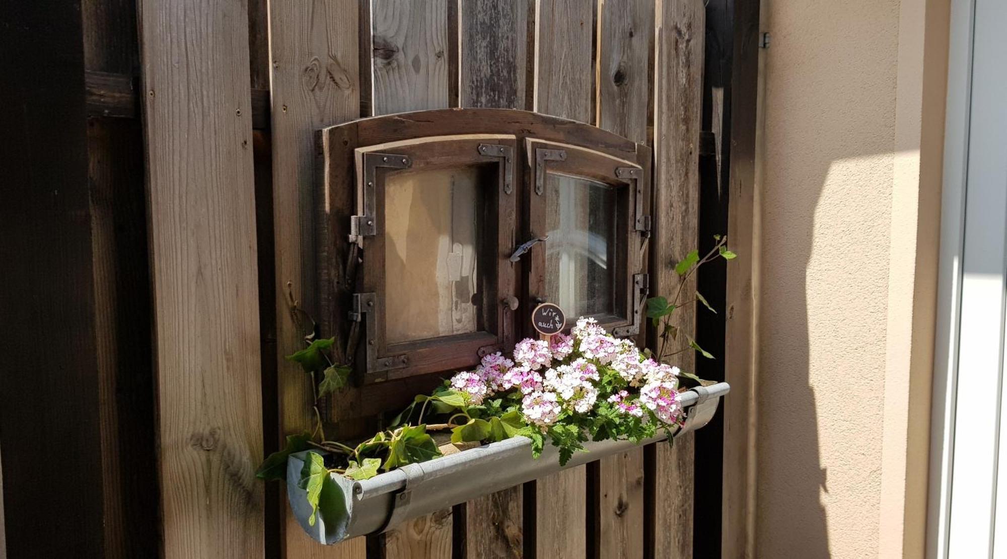 Ferienwohnungen _ Haus Lisa_ Senftenberg Bagian luar foto